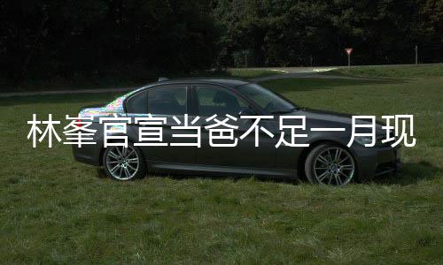 不足当爸一月渣显官宣现身 满林峯脸胡苍老酒吧