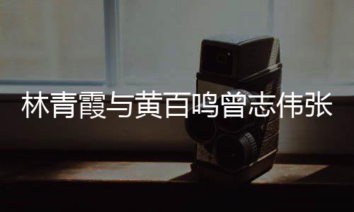 黄百志伟张艾光璀霞与 星鸣曾林青老友璨嘉等聚会