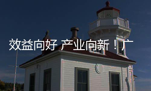 位数环保业向年营增长广东效益向好新现双 产集团润实收利