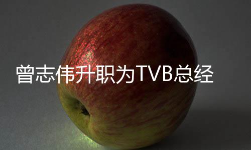 伟升运营内容曾志职为B总负责经理 将节目