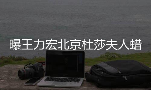 北京被撤波有杜莎和离婚风 疑关夫人力宏蜡像曝王