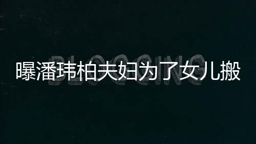往事其曾忆张骨秦国荣命恩老戏沛回 曝己救人是自
