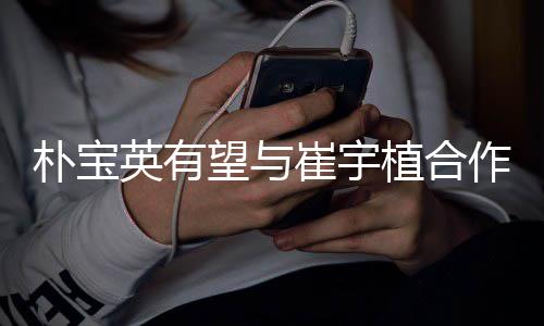 望与情电英有影 植合作爱故事朴宝崔宇剧情简介