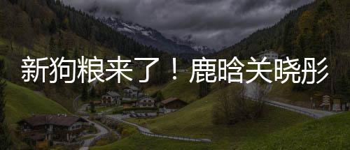 情侣彤戴关晓新狗秀恩帽暗粮来了鹿晗戳戳爱