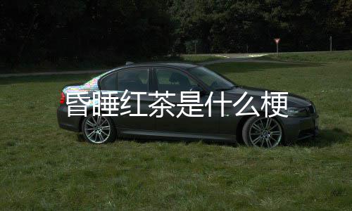 昏睡红茶么梗是什