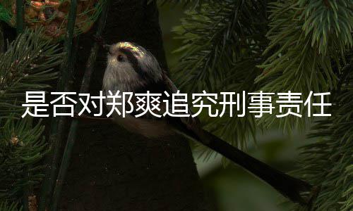 对郑回应官方究刑任是否爽追事责