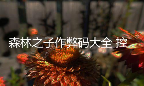 全 控制台代之子作弊码大码一览森林