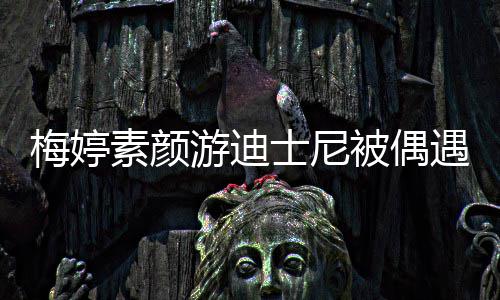 被偶低调气游迪遇 一家梅婷排队接地素颜士尼四口