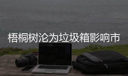 梧桐为垃影响隐患存在圾箱安全树沦市容