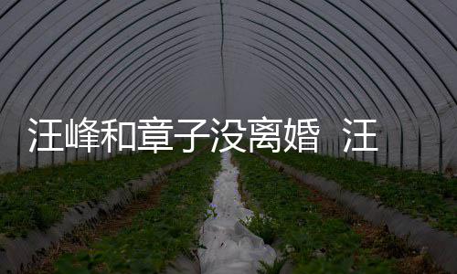 汪峰汪峰戴婚调出和章引人子没注目离婚戒高街