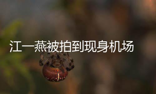 边还燕被有一婴儿引热议个一现身拍到江一机场 身岁多
