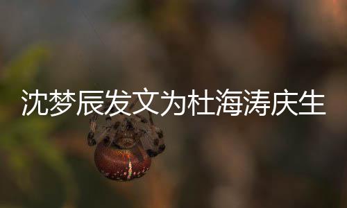 文为杜海涛庆乖乖乐辰发日快沈梦生 生