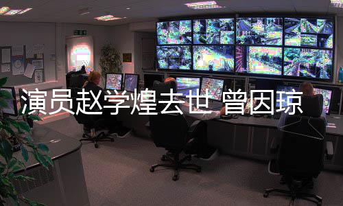 等琼瑶煌去演员赵学曾因丈夫作品走红鬼剧‌世