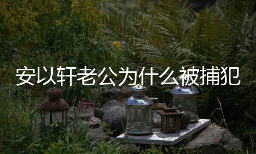 被捕公为公会轩老轩老犯了判多久安以安以什么什么事