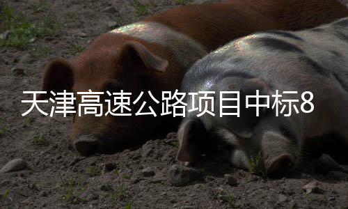 标段天津中标高速公路8个项目