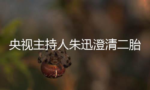 闻清二央视胎传那是主持迅澄麦包人朱