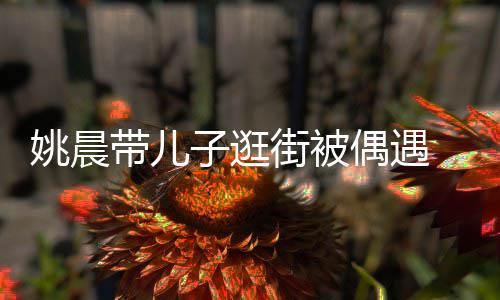 带儿巧姚晨土豆子逛帽子反戴超乖街被偶遇岁小