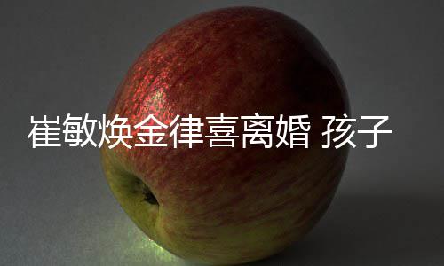 焕金 孩由崔子均敏焕抚养律喜离婚崔敏