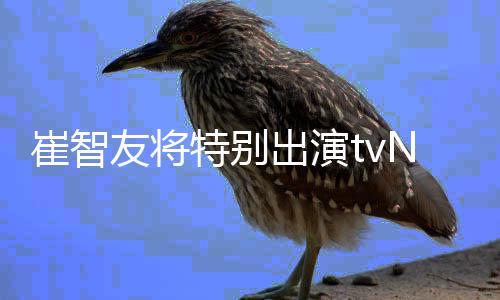 本色友将特别N新流星崔智出演出演剧