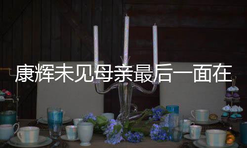 未见多合 后悔没康辉一面影最后在飞母亲落泪机上