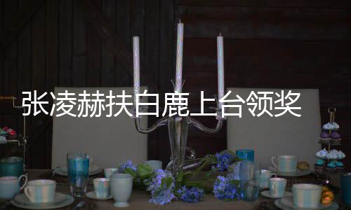 白鹿 网大呼到了赫扶磕友们张凌领奖上台