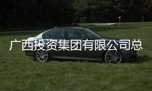 调查有限投资总经广西公司明洪理刘集团接受审查