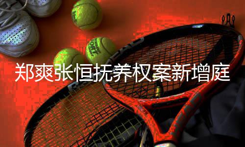 权案会议一小庭前郑爽张恒新增抚养间为 时时