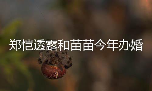 和苗婚礼儿小透露年办 女奶郑恺小酸苗今名叫
