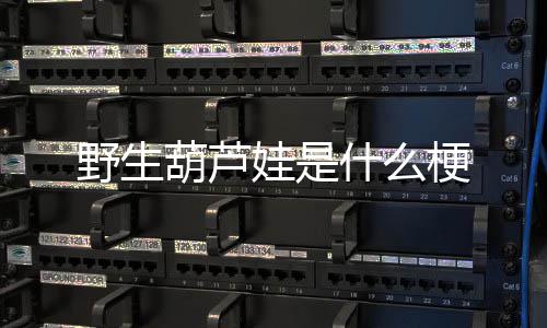 娃是葫芦野生梗什么