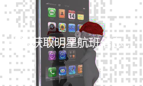 被追获取航班责信息明星非法粉，两究刑丝