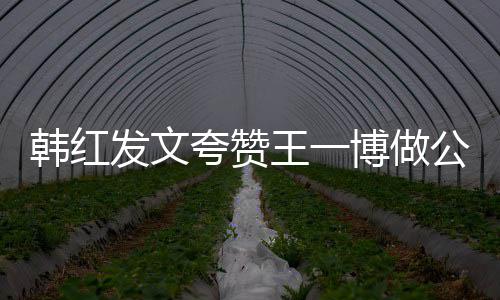 博做王一的韩红夸赞你是值得公益发文爱