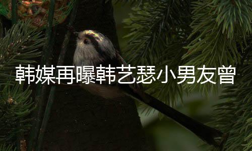 为什韩媒韩艺 韩艺瑟男友牛郎再曝曾当公司么和经纪解约瑟小