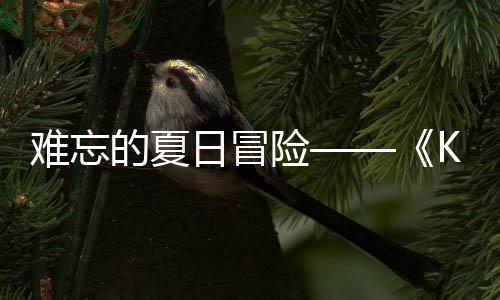 的夏启忆岛于月难忘 年险 夏将日冒日记日开