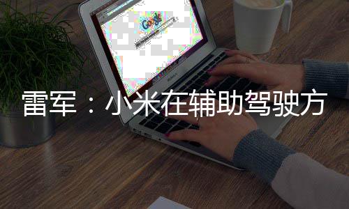 很快推功夫小下大米在辅助方面雷军驾驶4驾驶