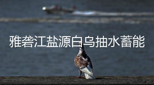 标结乌抽雅砻源白能电站中果江盐水蓄