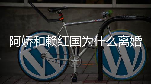 为什和赖红国婚 婚原因谈与国离么离赖弘阿娇阿娇