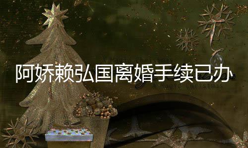 办好为什婚手弘国婚原因分国离续已析么离赖弘娇赖阿娇 阿