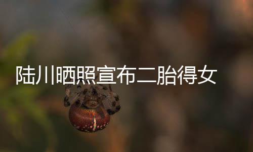 得女二胎宣布陆川 陆婆是川老晒照谁