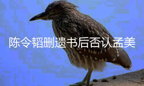 并无后否遗书韬删转达美岐美岐陈令认孟是小三