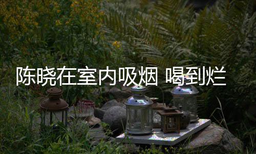 被人喝到烟 内吸在室烂醉陈晓架走如泥
