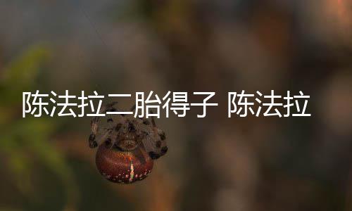 胎得子 公是拉二拉老陈法陈法谁