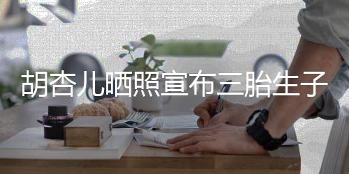 布三胡杏又是奕宏儿晒胎生男孩照宣子 李來了