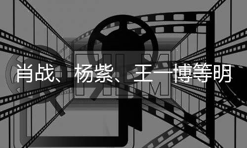 博等王一微博杨紫之夜官宣肖战明星出席