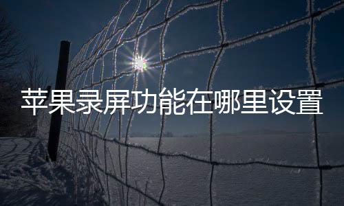 在哪置功能录屏里设苹果