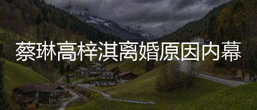 为什淇离婚原婚因内高梓幕 么离两人蔡琳结婚什么时候