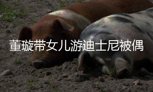 未现董璇带女迪士云翔儿游尼被 高偶遇身
