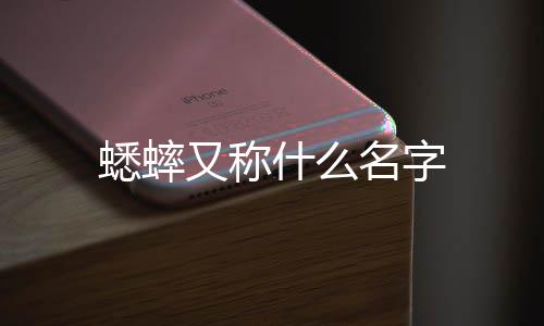 又称蟋蟀名字什么