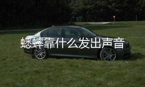 靠什音蟋蟀么发出声