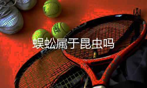 蜈蚣昆虫吗属于