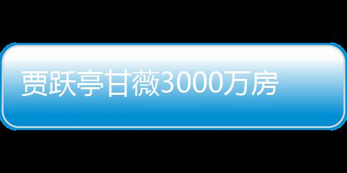 被拍薇30万银行亿元亭甘卖 房产贾跃尚欠